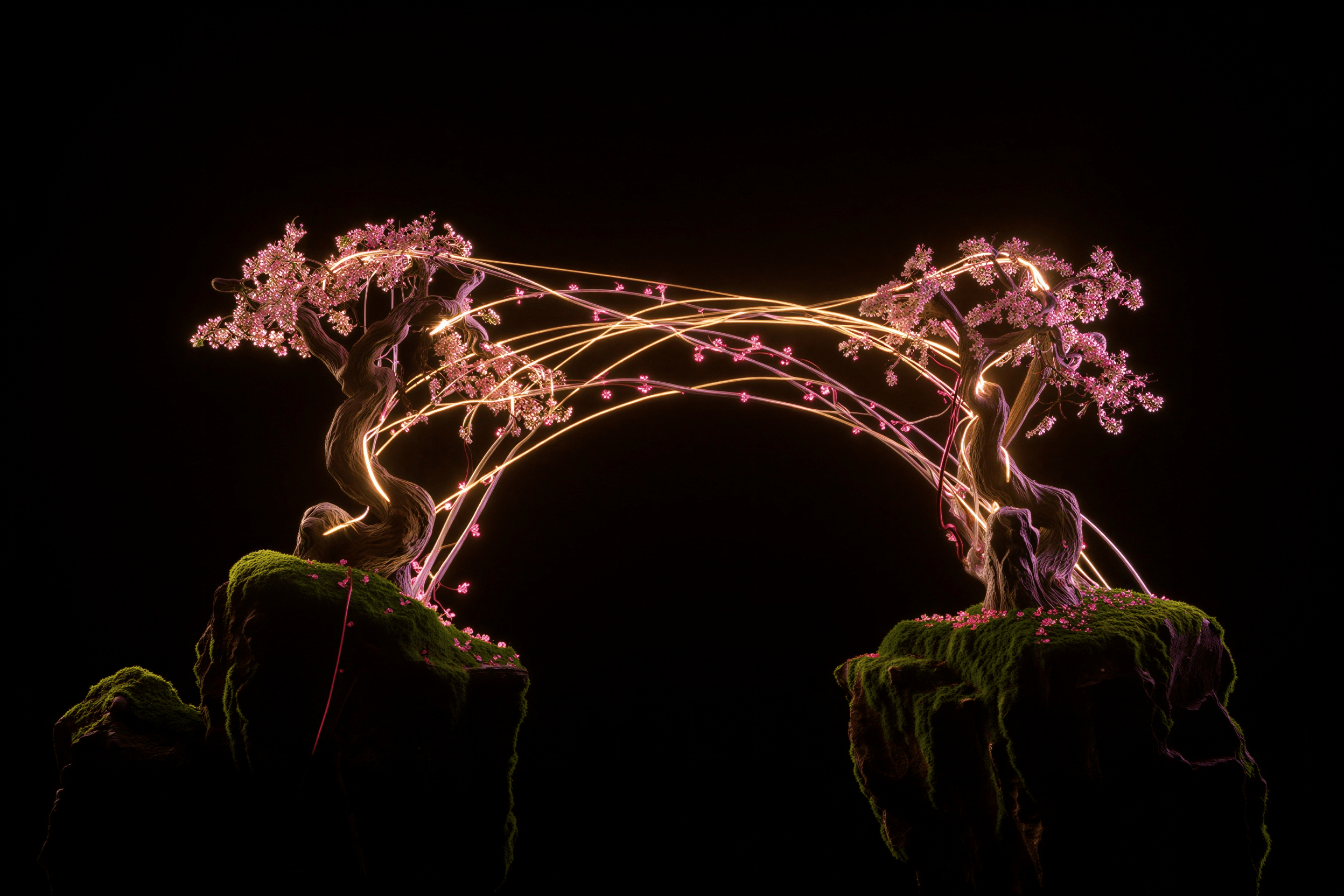 Payment proxy bridge visualization